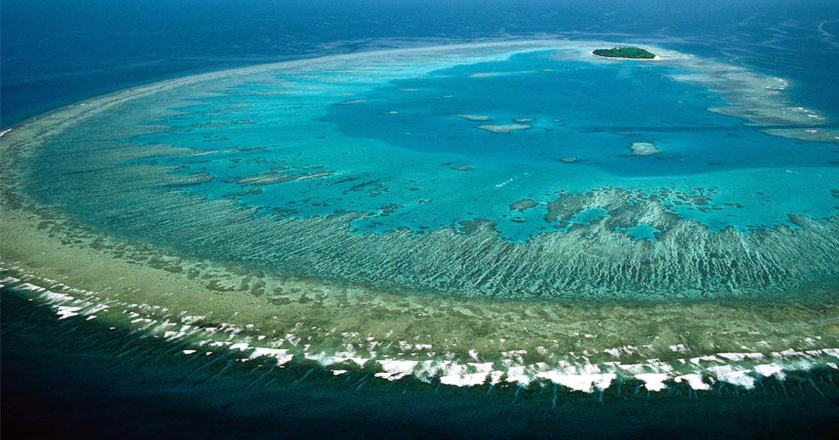 Marine Conservation in Australia and New Zealand